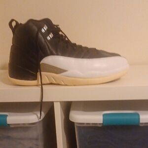 Air Jordan 12 playoffs